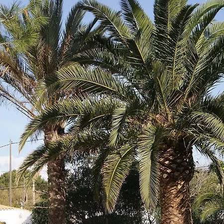 Apartamento Son Blanc Casa vacanze *